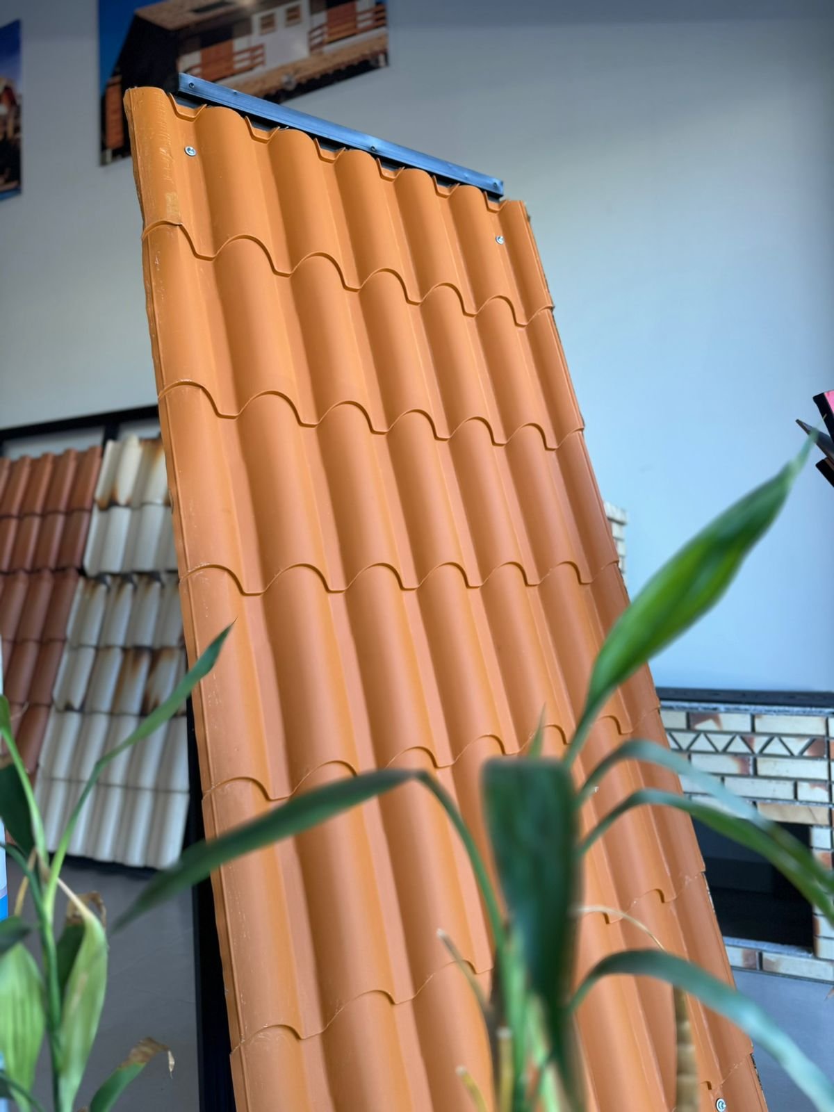 WhatsApp Image 2026-01-22 at 09.09.07