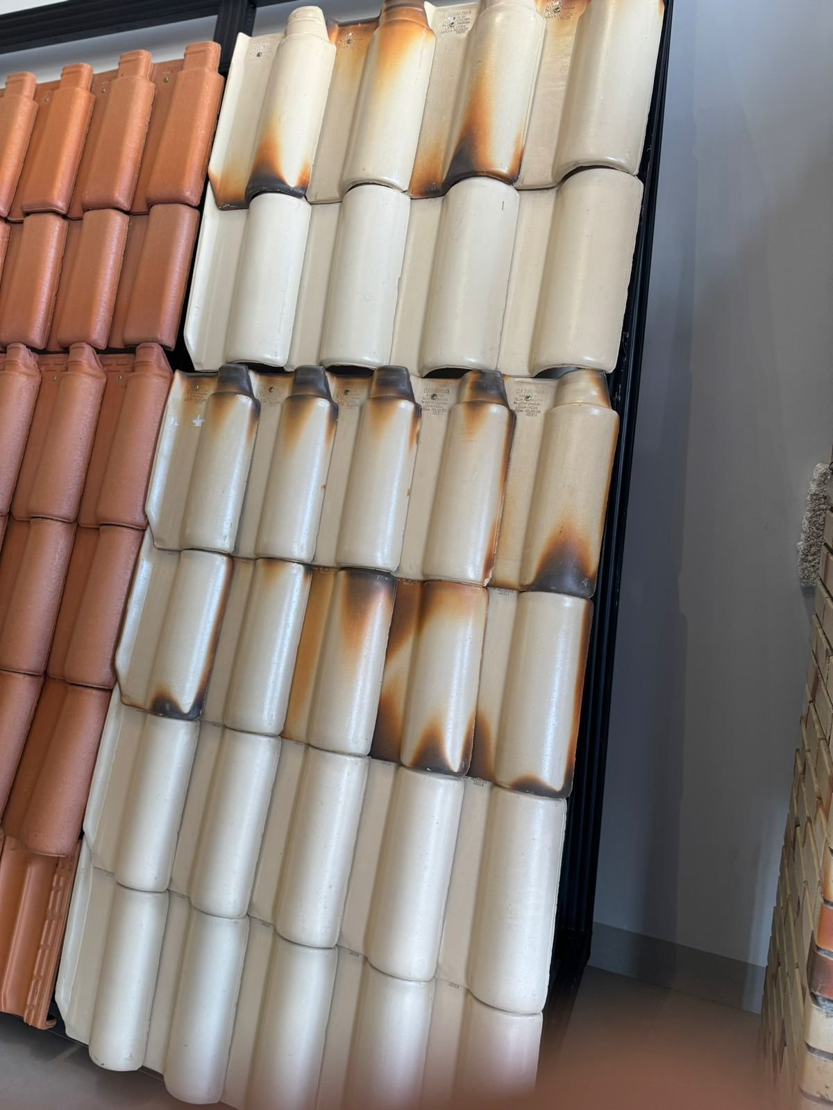 WhatsApp Image 2026-01-22 at 09.09.12 (1)