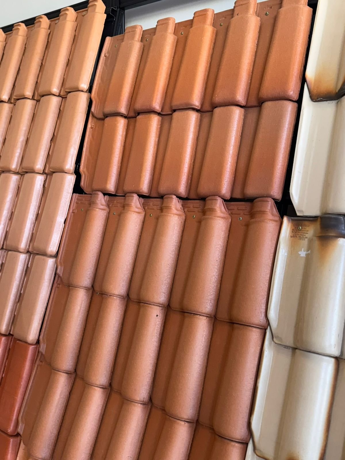 WhatsApp Image 2026-01-22 at 09.09.12